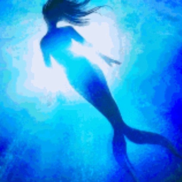 ❤❤Welcome to my closet! Check out all sales! - Picture 1 of 1